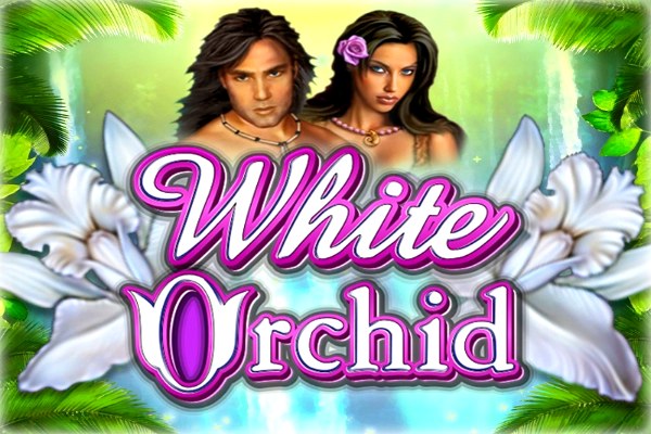 White Orchid Demo Slot